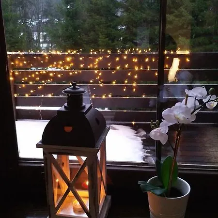 Apartman Jensen Harrachov